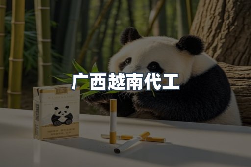 广西越南代工